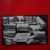 SOUVENIR DE BELLEVUE - Other & Unclassified