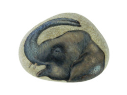 Indian Elephant Hand Painted On A Beach Rock Paperweight - Dieren