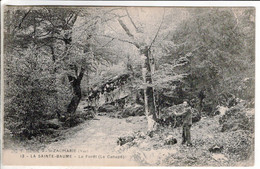 Cpa St-Zacharie-  - La Sainte-Baume- La Forêt (Le Canapé) - Saint-Zacharie