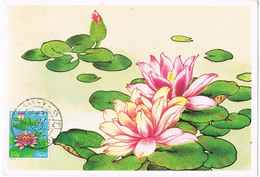 39377. Tarjeta Maxima CAIRO (Egypt) 1981. NENUFAR, Flor De Loto. LOTUS - Briefe U. Dokumente