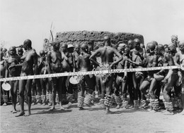 BENIN - DAHOMEY / PHOTO / 1957 / REGION DE NATITINGOU / DANSE / FEMMES / SOMBAS ??? SCARIFICATION / NU / NUS / FEMME NUE - Dahomey