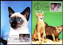 U.S.A. (1988) Various Cats. Set Of 4 Maximum Cards With Thematic Cancel. Scott Nos 2372-5, Yvert Nos 1800-3. - Cartes-Maximum (CM)