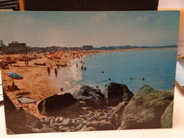 Cartolina Marina Di Nicotera Scogliera  E Spiaggia Prov Vibo Valentia - Vibo Valentia