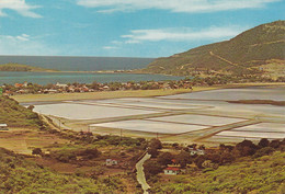 PAYS-BAS - The Salt-pans Of St. Maarten - Sint-Marteen