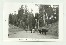 RINCONES DE TARMA ( PERU' )  - FOTO TUTUMI - NV   FP - Perú