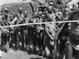 BENIN - DAHOMEY / PHOTO / 1957 / REGION DE NATITINGOU / FEMMES SOMBAS ??? NU / NUS / FEMME / NUE / NUES - Dahomey