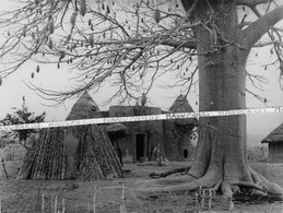 BENIN - DAHOMEY / PHOTO / 1957 / REGION DE NATITINGOU / TATA SOMBA / SOMBAS - Dahomey