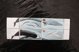 Canada 1871a Cetaceans Whales With Tabs MNH 2000 A04s - Blocchi & Foglietti