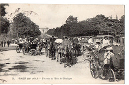 PARIS (16è Arr.) - L'Avenue Du Bois De Boulogne - Arrondissement: 16