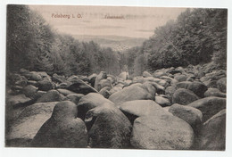 Delcampe - Felsberg I. O. Felsenmeer. - Odenwald