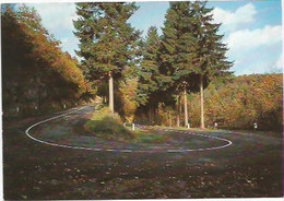 LES ARDENNES EN AUTOMNE/ ROUTE EN LACETS /PETIT FAYS ..VRESSE/ - Bievre