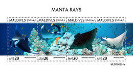 Maldives 2019 Fauna   Manta Rays  S202002 - Maldives (1965-...)