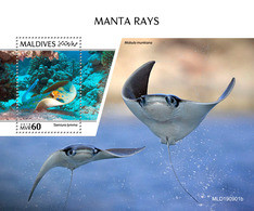 Maldives 2019 Fauna   Manta Rays  S202002 - Maldives (1965-...)