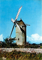 La Turballe * Le Moulin De Kerbroué * Moulin à Vent Molen - La Turballe