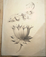 Disegno Fiore E Foglio Fissato Su Carta Firmato Primi ‘900 (D133) Come Da Foto Restauro Angolo Destro In Basso 45x23 Cm - Dessins