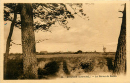 Mesquer * Quimiac * La Ferme De Ballin * Moulin à Vent Molen - Mesquer Quimiac