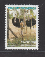 Madagascar 2004, Bird, Birds, Common Ostrich, 1v, Very Fresh, MNH** - Ostriches