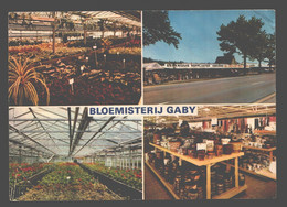 Aarschot - Bloemisterij Gaby - Aarschot