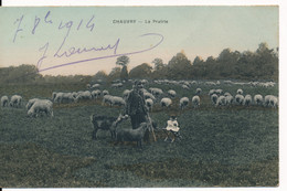 CPA 95 CHAUVRY La Prairie Berger Et Ses Moutons - Altri & Non Classificati