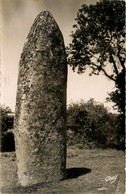 Huelgoat * Menhir De Kérampeulven * Monolithe Mégalithe - Huelgoat