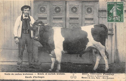 56-PONTIVY- VENTE DE VACHES BRETONNES- BIDETS ET NORFOLK BRETONS - BOEUFS D'HERBAGES- BOT VETERINAIRE PONTIVY - Pontivy