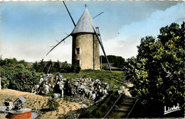 Pouzauges * Le Moulin à Vent Du Terrier Marteau * Molen - Pouzauges