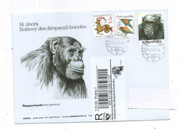 Czech Republic 2021 - Bonobo ,special Cover And Registered Label, Nice "my Stamps", VERY NICE!! - Scimpanzé