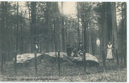 Tervuren - Tervueren - Les Pierres Druidiques Dans Le Parc - Edit. Decock, Tervueren - Tervuren