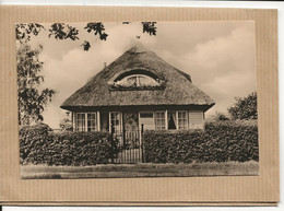 OSTSEEBAD  ZINGST   HAUS  UP  FRI WACH  IN DER STORTEBECKERSTRABE - Zingst