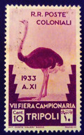 Tripolitaine Tripolitania Occupation Italienne 1933 Animal Oiseau Bird Autruche Ostrich Yvert 135 * MLH - Autruches