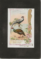 Chromo Aiguebelle 7 X 10.5 Le Monde Des Oiseaux - Aiguebelle