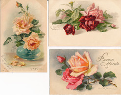 Lot De 5 CPA Illustrateur Catharina KLEIN Fleurs Roses - Klein, Catharina