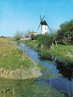 VENDEE- Moulin Dans Les Marais  -  FORMAT 19?5 X15 CM - Pays De La Loire