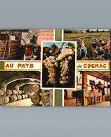 En Charente - Au Pays Du Cognac - Cpm Multivues 5 - Wijnbouw