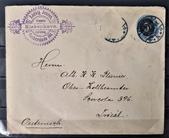 DENMARK <1919 - Letter To Trieste ... - Lettres & Documents