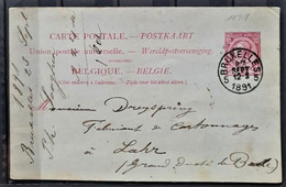 BELGIUM - Stationary Postcard - Other & Unclassified