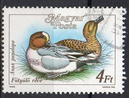 HONGRIE N° 3174 O Y&T 1988 Canards Siffleurs (Anas Penelope) - Other & Unclassified