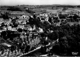 Sauveterre De Béarn * Vue Panoramique Et Le Gave - Sauveterre De Bearn