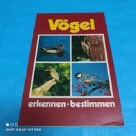 Jürgen Lindenburger - Vögel - Erkennen - Bestimmen - Animals