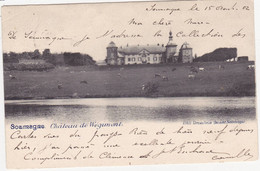 47846 -   Soumagne  Chateau De Wegimont - Soumagne