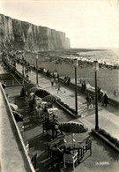 Le Tréport * La Falaise Et La Promenade Vues Du Casino * Café Bar - Le Treport