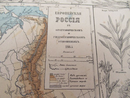 Carte Géographique Ancienne/Russie /Physique Et Hydrographique/Avec Bordure De Faune Et De Flore/1865  PGC376 - Slavische Talen