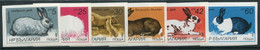 BULGARIA 1986 Rabbits Imperforate   MNH / **.  Michel 3447-52B - Unused Stamps