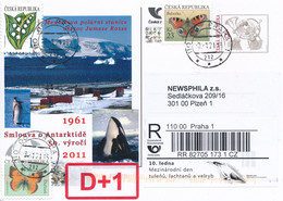 Czech Rep. / Comm. R-label (2021/02) Praha 1: Day Of Seals, Sea Lions And Whales (Balaenoptera Acutorostrata) (X0010) - Covers & Documents