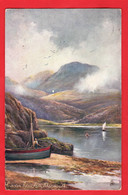 MERIONETHSHIRE    BARMOUTH    CADER IDRIS RAPHAEL TUCK PICTURESQUE NORTH WALES SERIES   Pu 1906 - Merionethshire