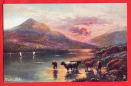 MERIONETHSHIRE    BALA  RAPHAEL TUCK PICTURESQUE NORTH WALES SERIES - Merionethshire