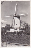 Rhenen Panoramamolen L757 - Rhenen