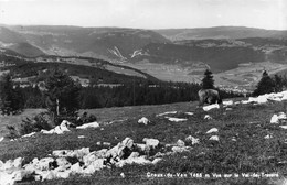 Creux Du Vent Vue Sur Le Val De Travers - Vache - Travers