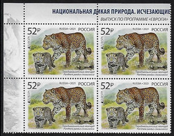 RUSIA 2021 /RUSSLAND /RUSSIA - EUROPA 2021 -"NATIONAL ENDANGERED WILDLIFE"- LEOPARD (PANTHERA).- BLOC De 4  MNH - CH - 2021