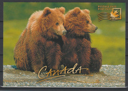 Canada Fauna Bear Cubs Postcard - Cartoline Moderne